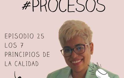 Episodio 25 Los 7 principios de la calidad